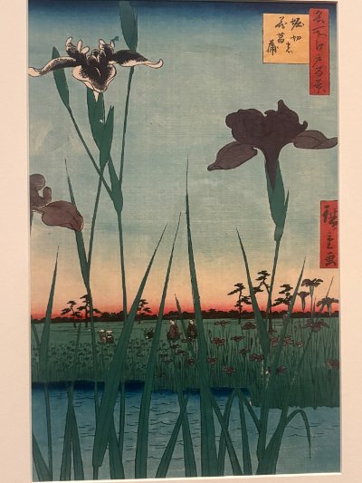 Horikiri Iris Garden