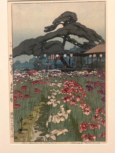 Iris Garden in Horikiri