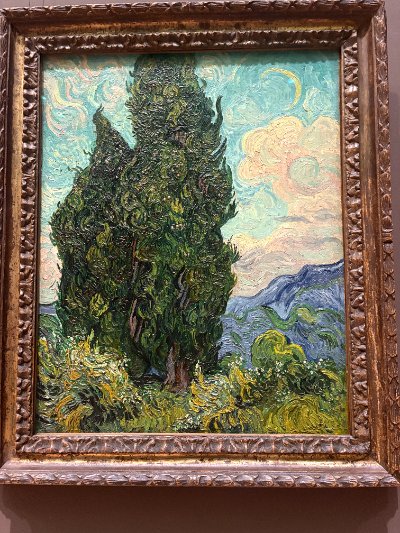 Cypresses