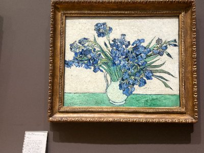 Irises