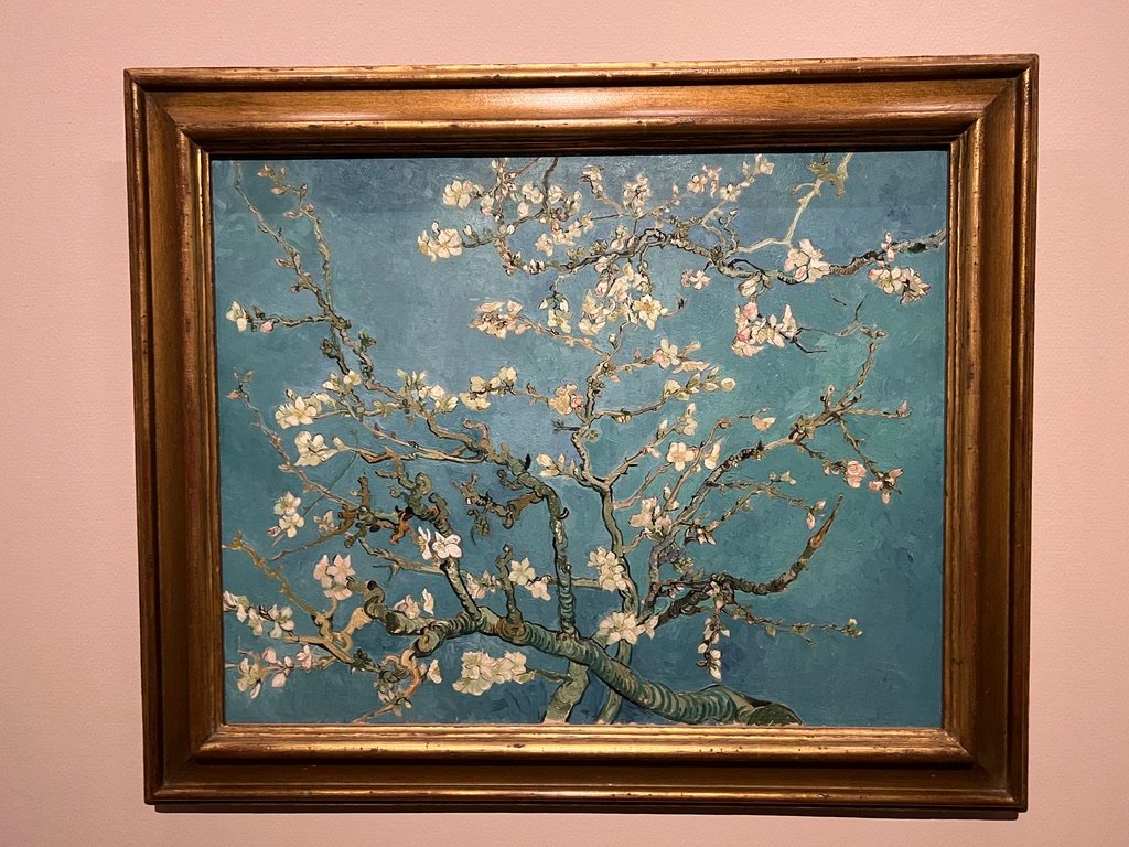 Wachington museum of art