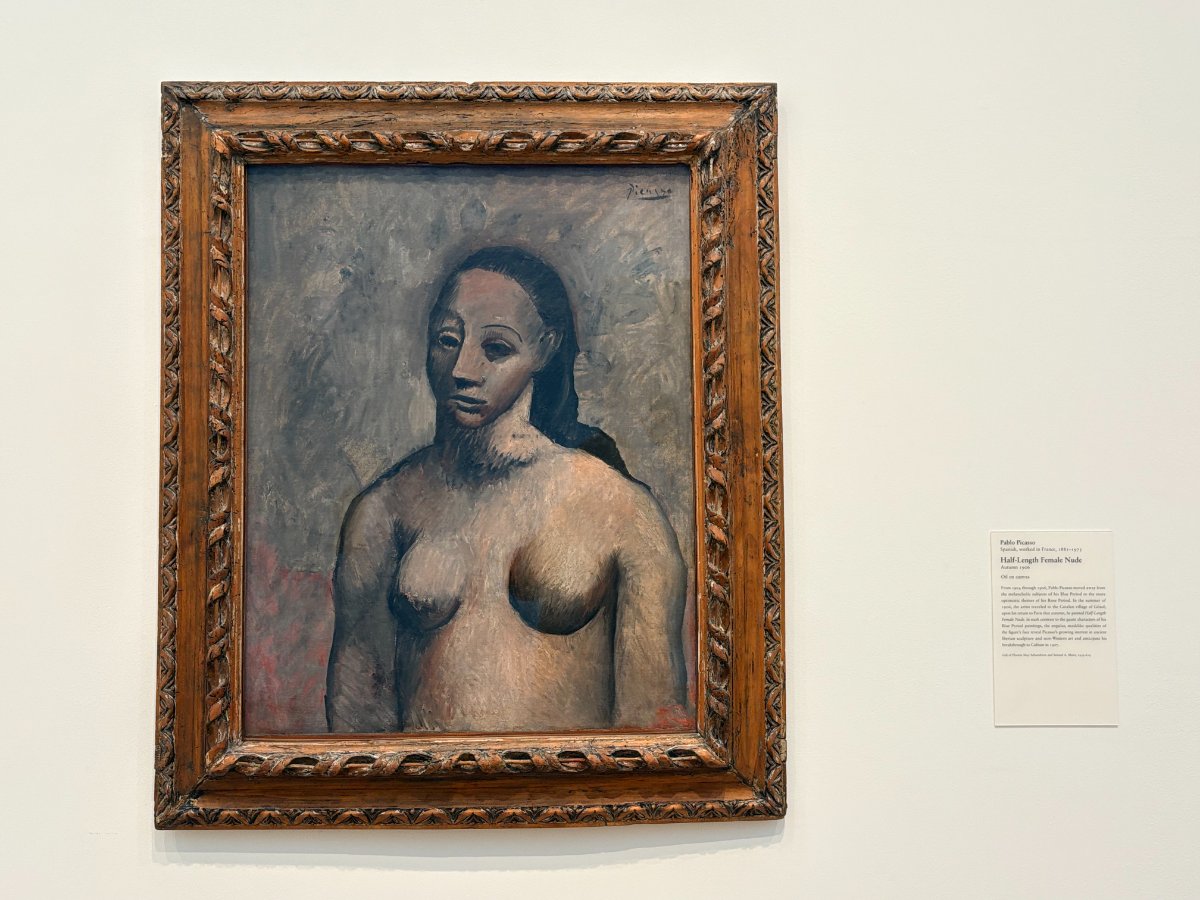 Half-Length Female Nude