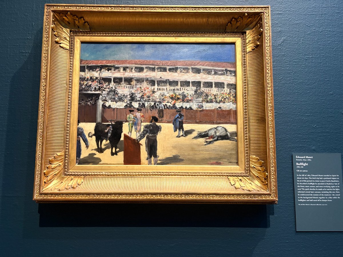 Bullfight