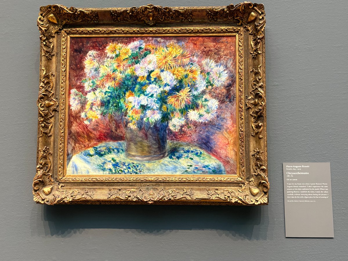 Chrysanthemums