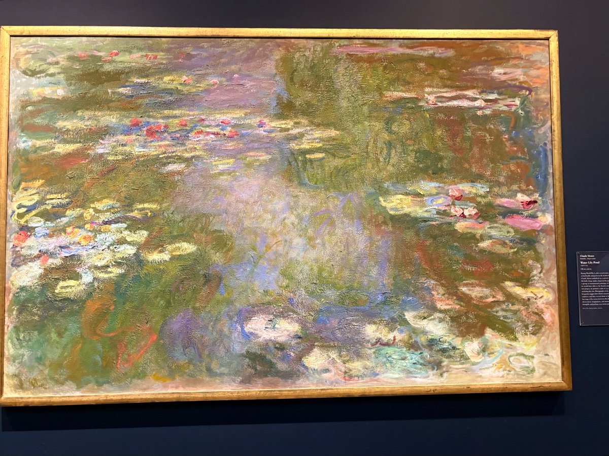 Water Lily Pond