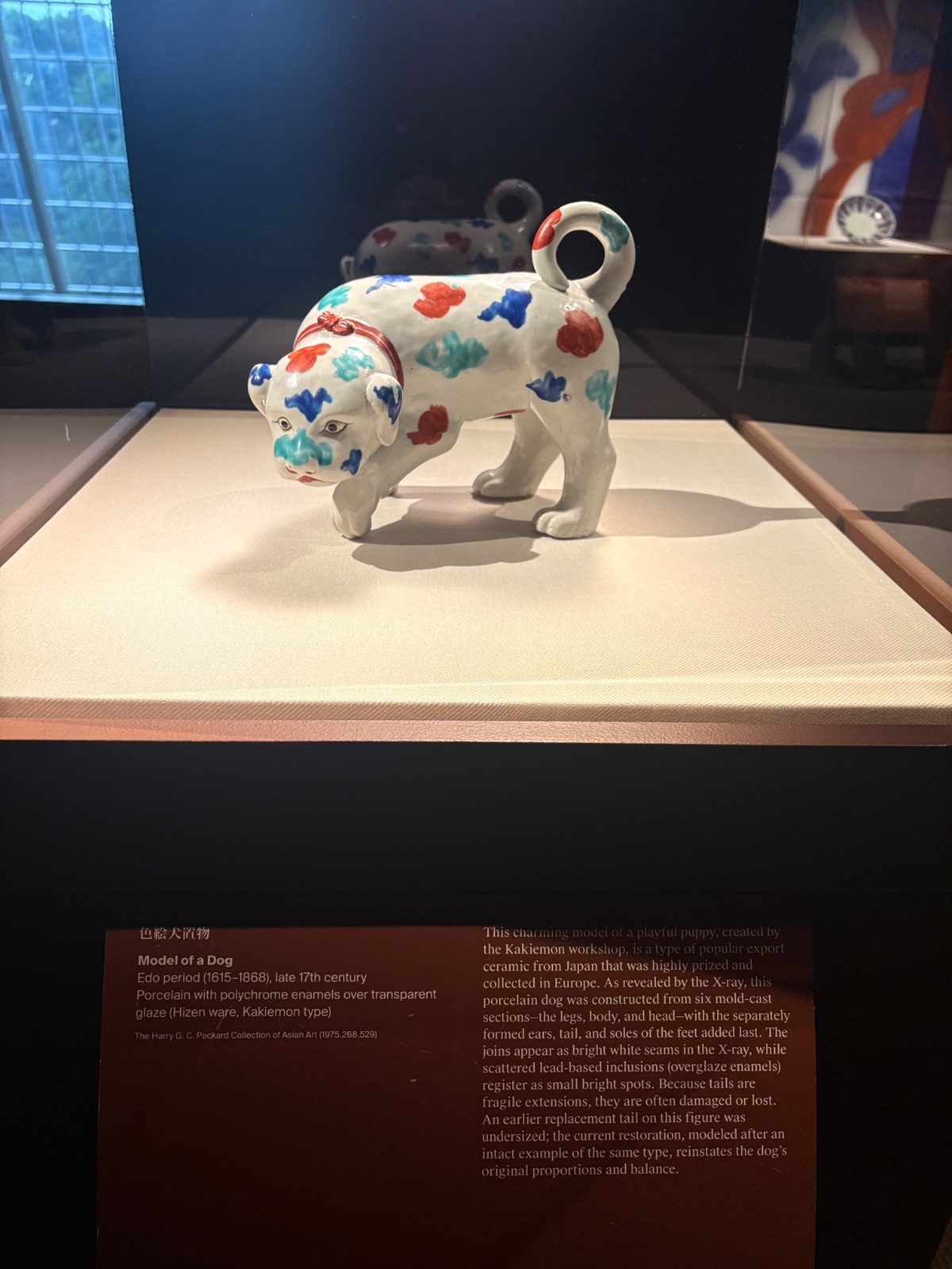 Model of a Dog
